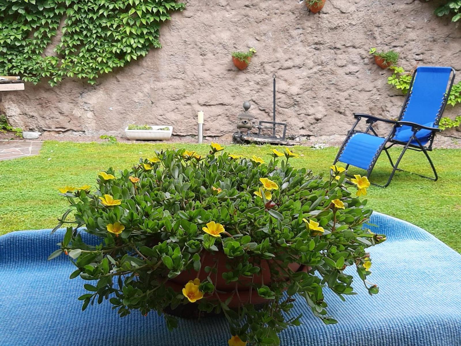 Apartamento Casa Fornace Ala Exterior foto